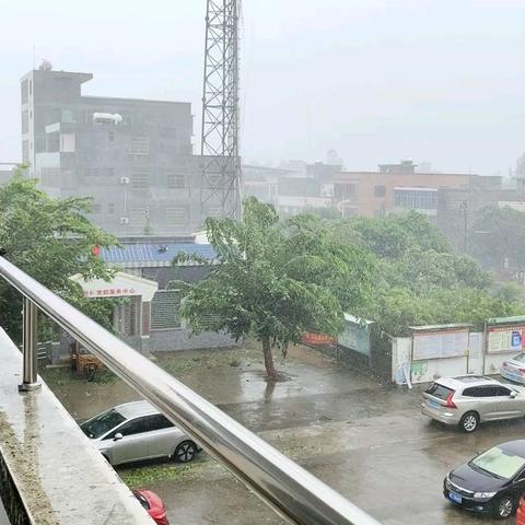 “摩羯”台风在新合