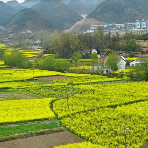 彭阳县幼儿园“开斋节”放假通知及假期安全提醒