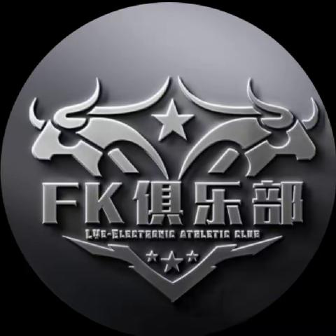 FK 电竞俱乐部简介