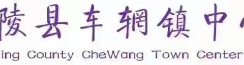 【教师梯级发展—课堂教学】深耕课堂研无止境，集体备课共促成长 —— 车辋小学三四年级数学集体备课先行课活动纪实