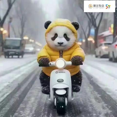 清雪情动让服务更有温度             峰出物业坚守风雪的弥漫