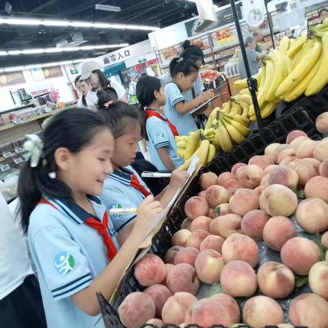我的夏日健康能量站——潍坊市奎文中学2023级8班探究实践