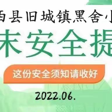 泸西县旧城镇黑舍小学周末安全提醒