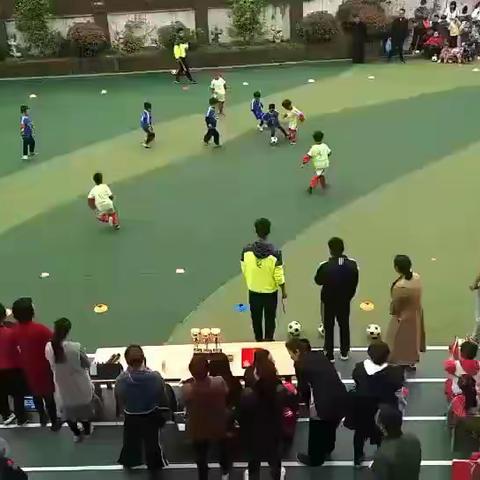 莲池幼儿园“快乐足球[足球] ，足够精彩”
