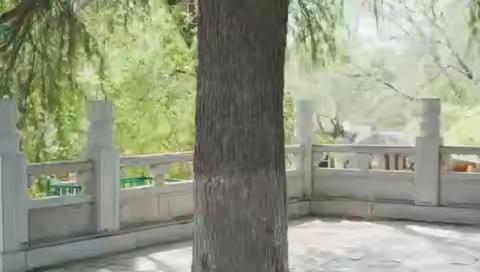 莲池幼儿园重启上巳佳节邀您一起祓禊、佩兰、品诗、游春踏歌 同嬉春光！