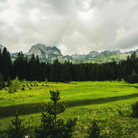 黑山共和国——塔拉河大桥