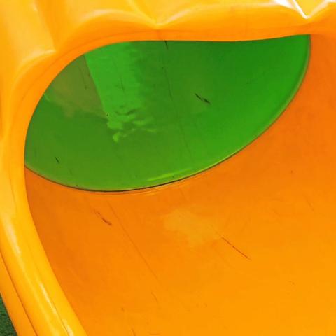 优胜美地幼儿园——芽一班周记