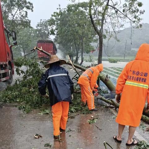 全力应对新一轮强降雨，确保公路安全畅通