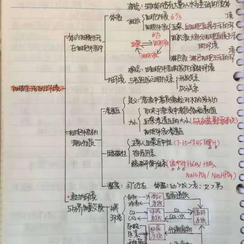 画一个学科思维导图