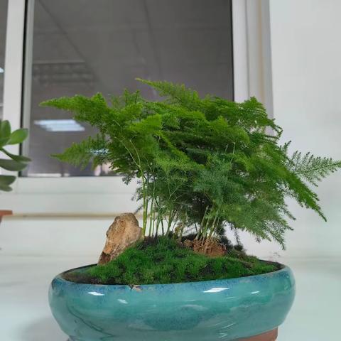 星辰一班-第十七周班级简报