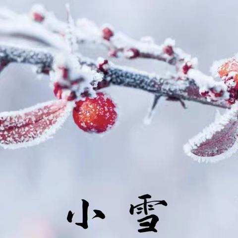 【节气活动】小雪至，冬趣始——临沂高新区区直幼儿园小三班小雪节气活动