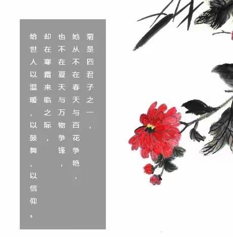 赏美菊•诵诗词   方城县  第三小学   二（6）班