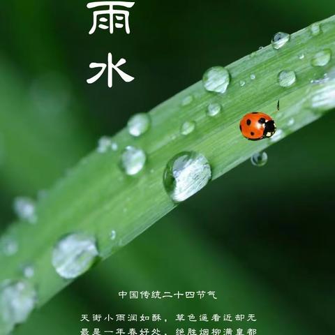 春雨至    万物生