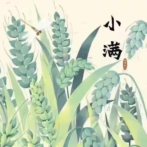 小满正当时🌿万物渐盈满🌳——中四班“小满”节气主题活动✨✨