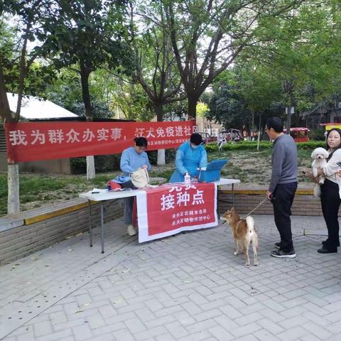 【网格员在行动】泘沱社区开展我为群众办实事，狂犬免疫进社区活动