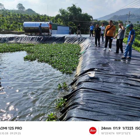 区河长办联合区渔业办、林业办、农业办协调推进饮用水水库及水源保护区水体污染问题整改工作