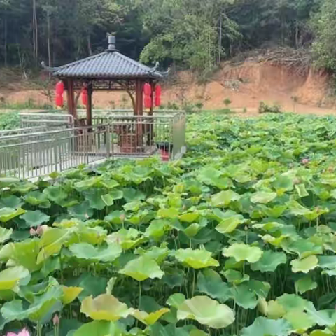 避开喧嚣 找处宝藏山庄待一待