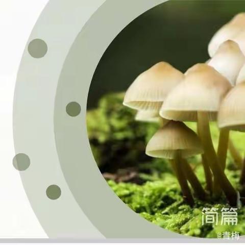 文明大道小学探索生物社团10：00