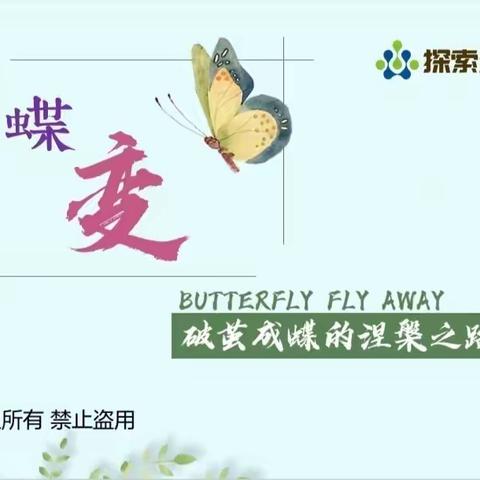 烧盆窑小学探索生物社团