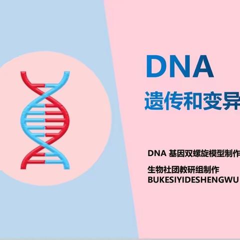 南关小学探索生物社团