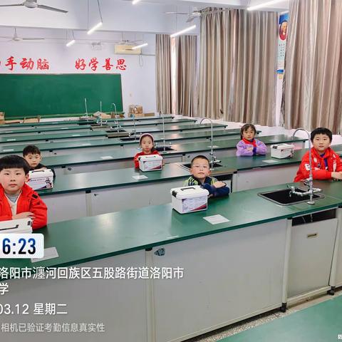 陇海小学搭建社团之电动牙刷