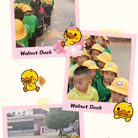 幼小协同•共赴美好