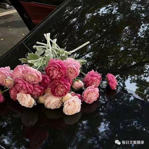 我思故我在……