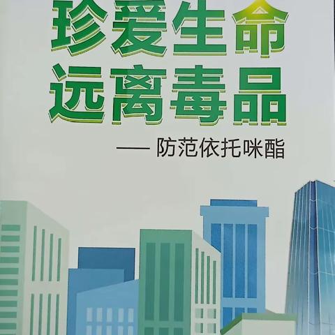 昌化镇开展“防范依托咪酯滥用，守护学生健康成长”进校园宣传活动