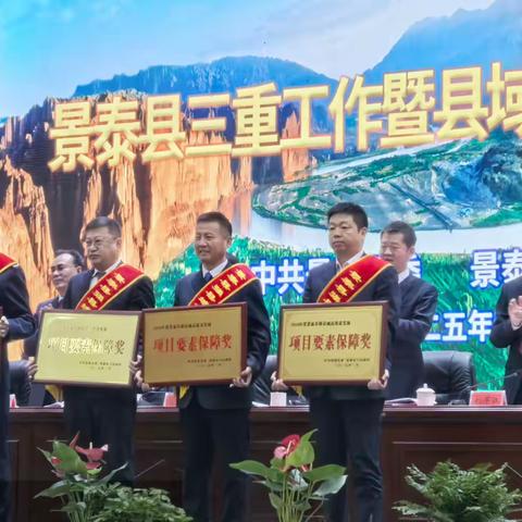 喜报！ 国网景泰县供电公司荣获 ﻿“项目要素保障奖”奖项