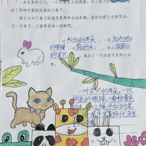 3.7小练笔展播