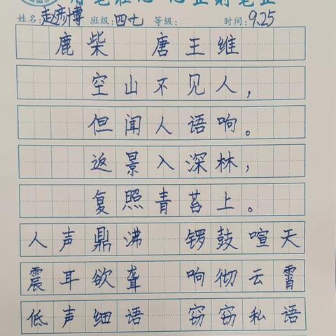 书法比赛成果亮点展示