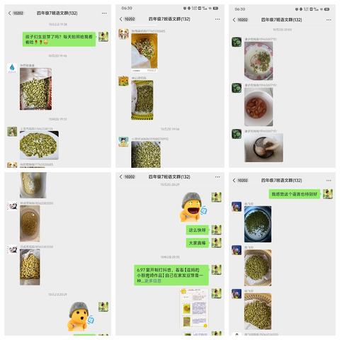 生命的嫩芽：国庆植物观察记