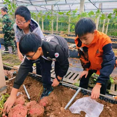 探索植物世界，感受生命真谛。七(15)班，宋林兴。