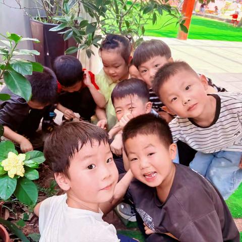 东湖幼稚园大二班本周精彩回顾