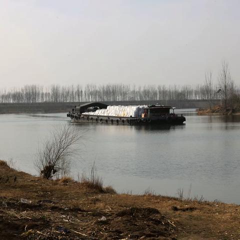 大年初二见大船