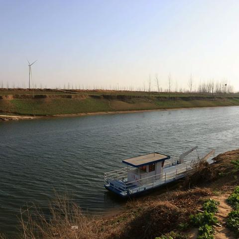 挂袋压枝果子多