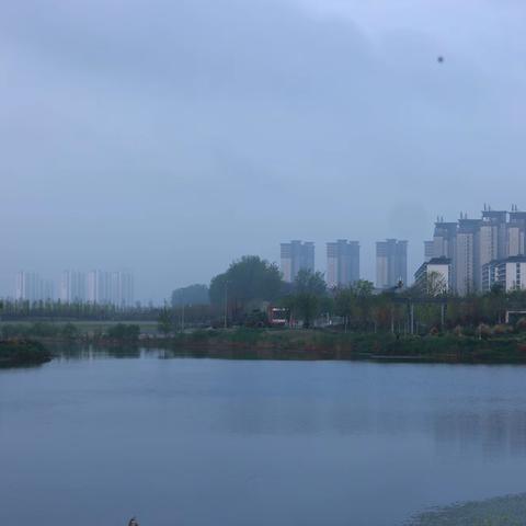 河岸流苏伴暮春