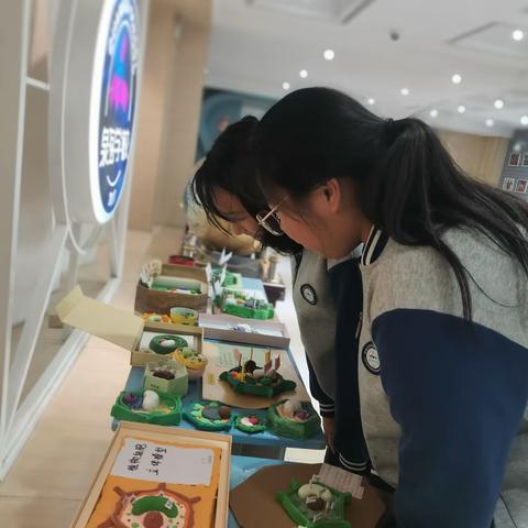 领略细胞之美，感受植物魅力--泉海学校植物细胞立体模型制作大赛