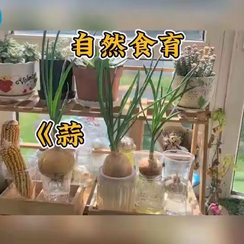 懿的简篇