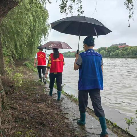 风雨同舟，志愿同行