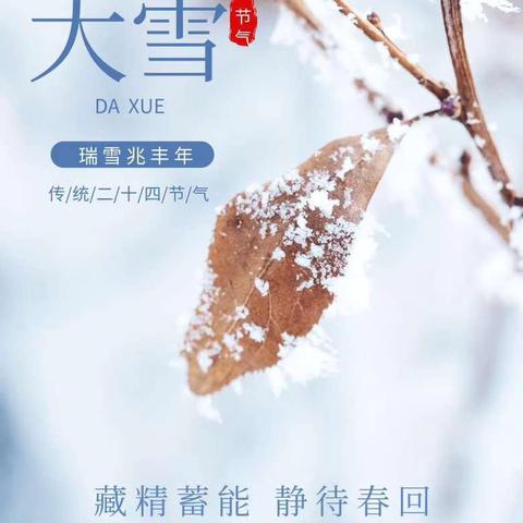 童心迎大雪 冬趣盈满园 ﻿——汉丰八校“知时节 享劳动”主题课程之大雪