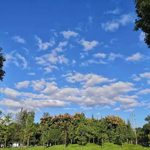 “团结友爱，携快乐同行”——福莱山小学一年级七班“与秋天有个约会”参观欣和工厂活动