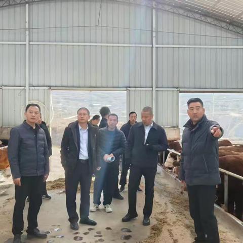 一把手领航护民生 消保答卷暖人心——西吉农行四季度一把手消保工作简报