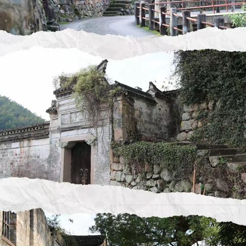 樟村盘面韧，半浦稻花香