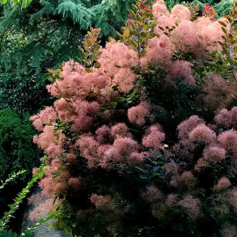 嘉定山公园黄昏掠影