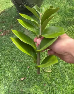 植树节-播种希望，“植”得期待-337植树节活动