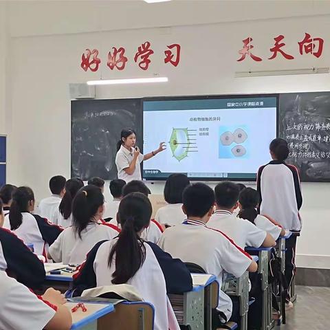 学海无涯，行者无疆——省骨干学带老师陈婉老师指导实习老师工作