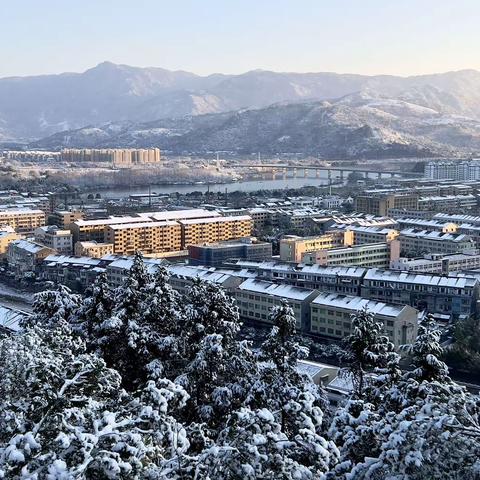 雪中送暖—-瑞安市退教协会高楼分会送温暖活动