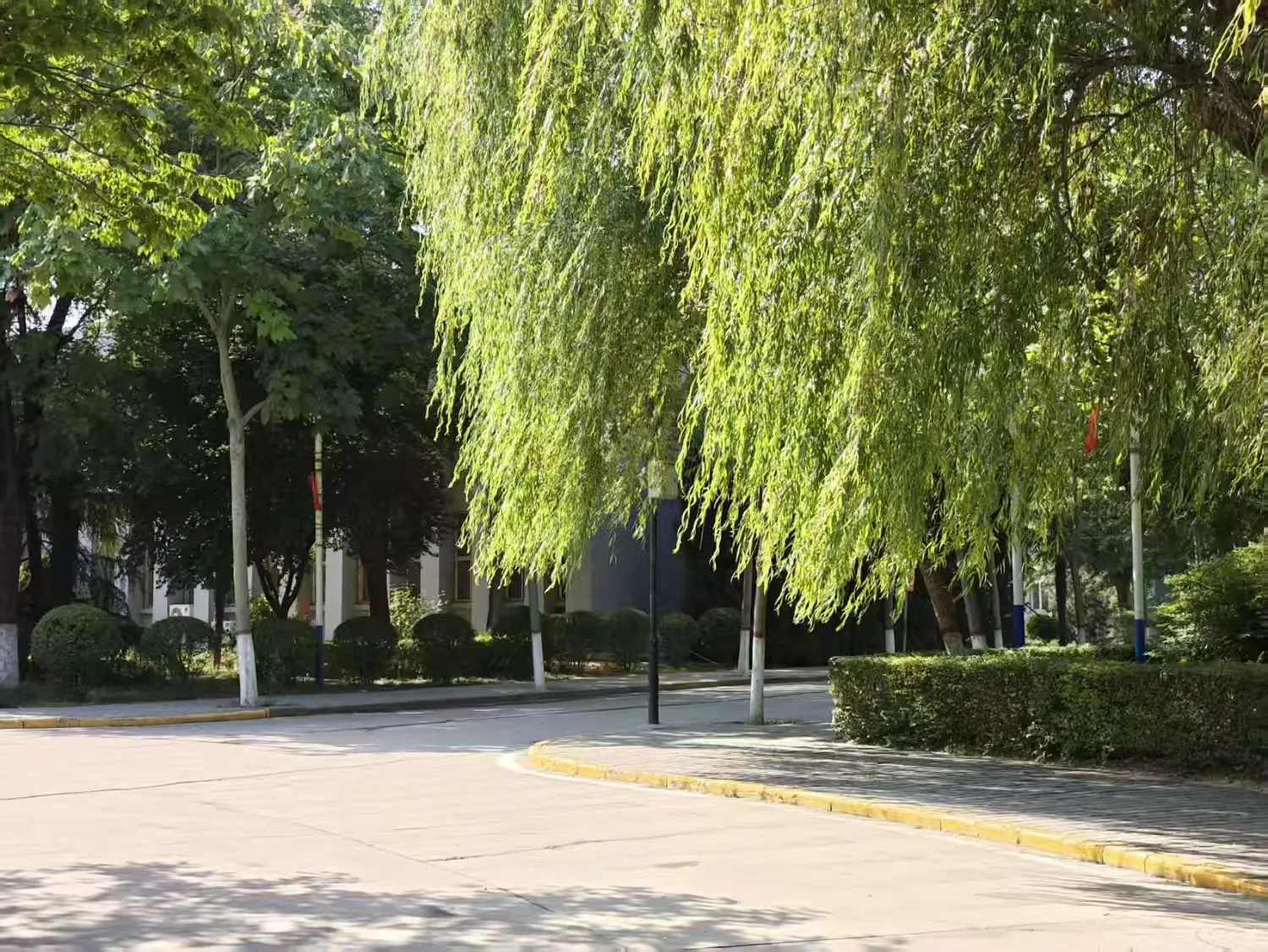 简篇-炎炎夏日送清凉，防暑降温润心田