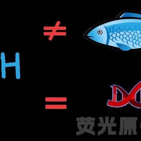 【新技术】此FISH非彼鱼 大同市第五人民医院病理诊断新技术—荧光原位杂交（FISH）检测